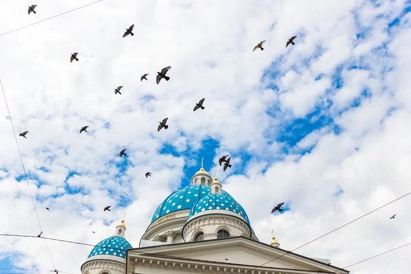 Trinity Cathedral with birds — Stock Photo, Image