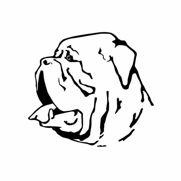 Dogue de bordeaux — Wektor stockowy