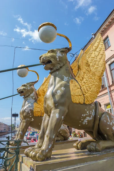 Gänse mit goldenen Flügeln 2 — Stockfoto