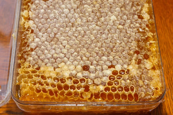 用蜂蜜盒 — 图库照片