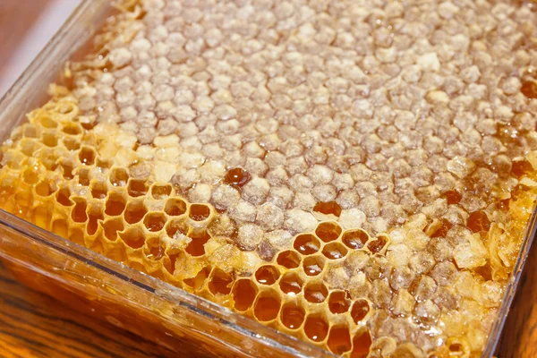 Plasic boxes with honey — Stock Photo, Image