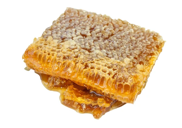 Honeycomb isolerad på vit — Stockfoto