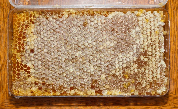 Kotak dengan madu di sarang madu — Stok Foto