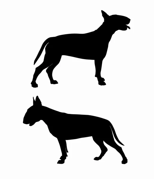 Bullterrier perro siluetas — Vector de stock