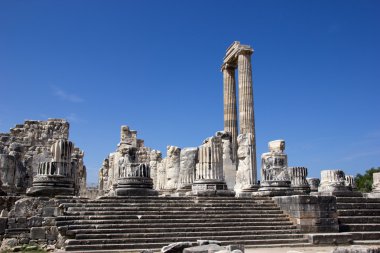 view of Temple of Apollo in Didim1 clipart