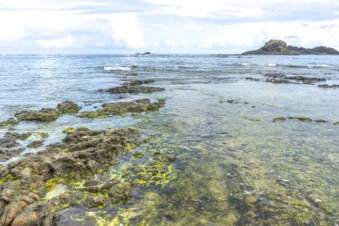 Doğa güneş ışığı ile plaj kaya doğal yeşil yosun erken sabah