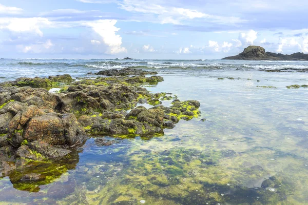 Natural Green Moss Beach Rock Nature Sunlight Early Morning — Stock Photo, Image