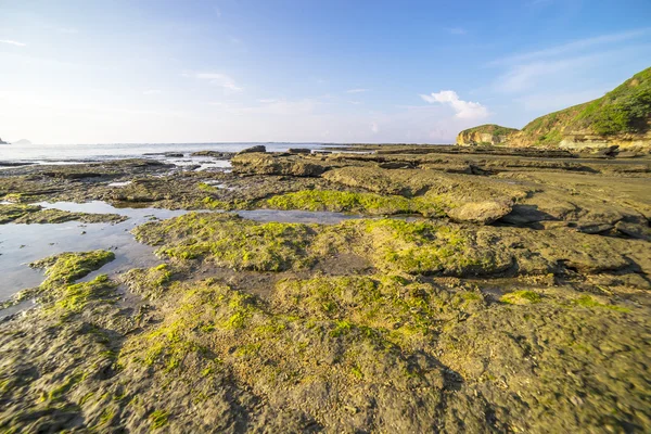 Kaya Oluşumu Lombok Endonezya Batu Payung Şemsiye Rock — Stok fotoğraf