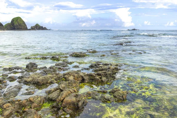 Musgo Verde Natural Roca Playa Con Luz Del Sol Naturaleza — Foto de Stock