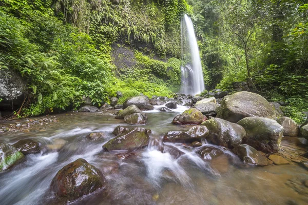 High waterfall from Rinjani mountain at Lombok, Indonesia — Stock Photo, Image