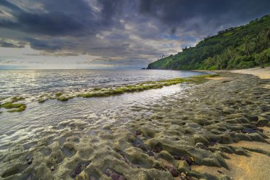 Yeşil yosun ile plaj