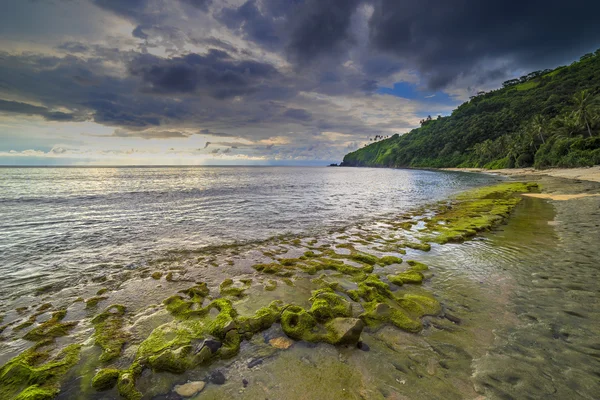 Praia com musgo verde — Fotografia de Stock