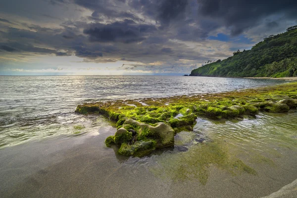 Plaża z zielony mech — Zdjęcie stockowe