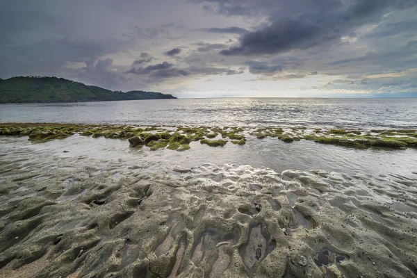 Stranden med grön mossa — Stockfoto