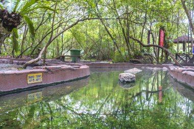 Felda Kaplıcası - Sg Klah, Perak, Malezya