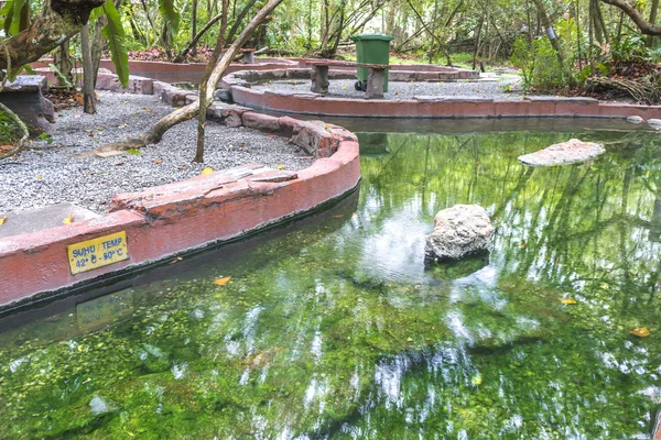 Felda Hot Spring Klah Perak Malaezia — Fotografie, imagine de stoc