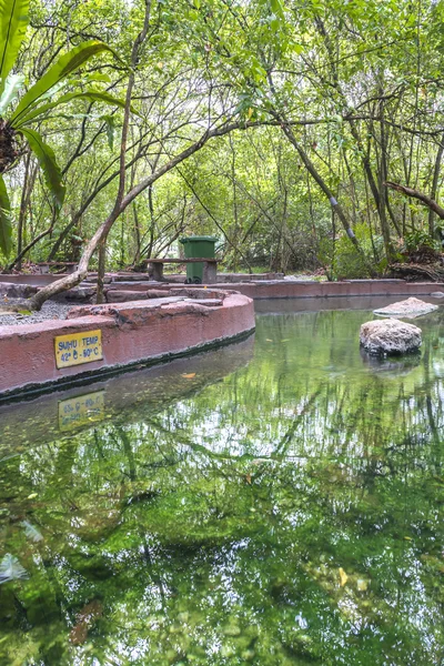 Felda Hot Spring Klah Perak Malesia — Foto Stock