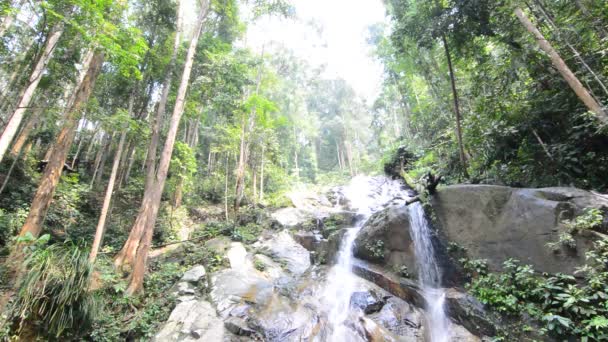 Cachoeira — Vídeo de Stock