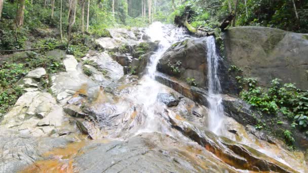 Cachoeira — Vídeo de Stock