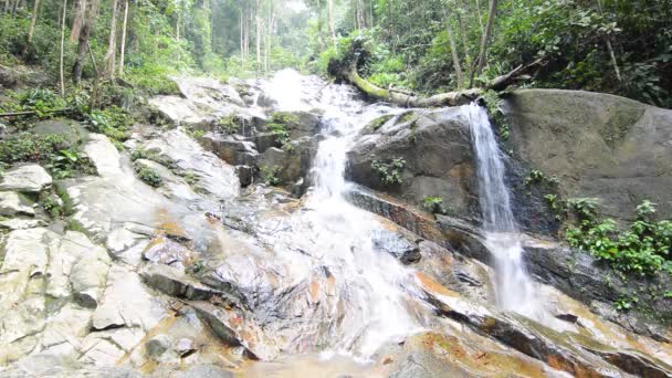 Cachoeira — Vídeo de Stock