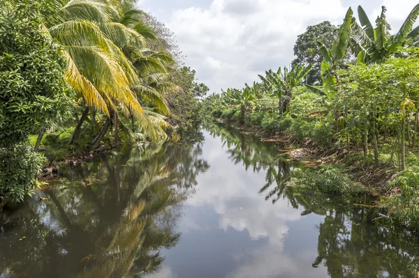 Río de la costa —  Fotos de Stock