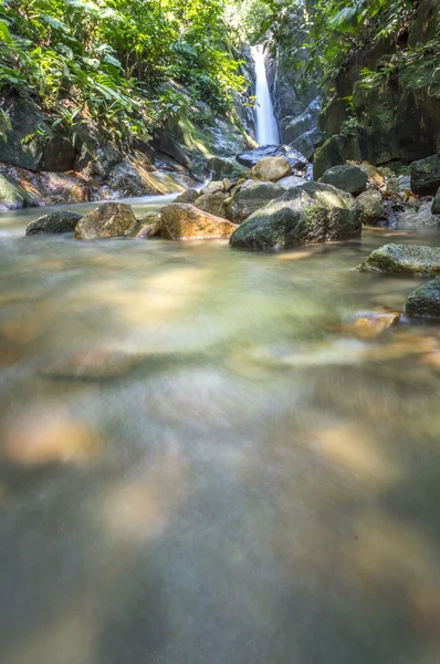 Chute d'eau forestière — Photo