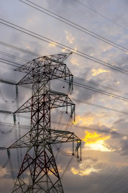 Elektrik direği