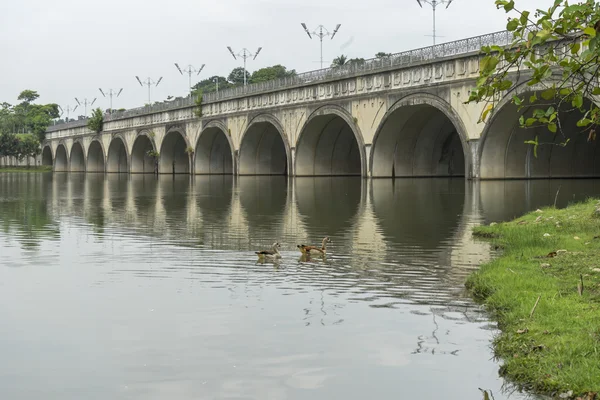 Lago — Foto de Stock