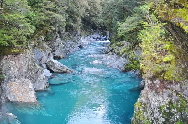 Haast river — Stock Photo, Image