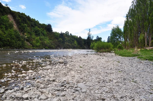 Pietra del fiume — Foto Stock