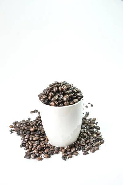 Coffee — Stock Photo, Image