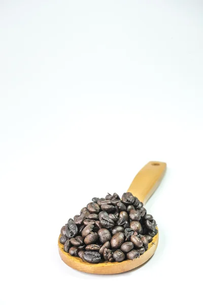 Κουτάλα καφέ — Φωτογραφία Αρχείου