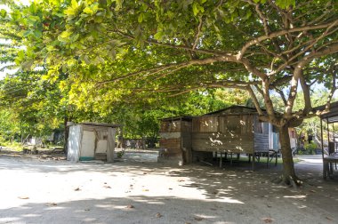 Mabul Köyü