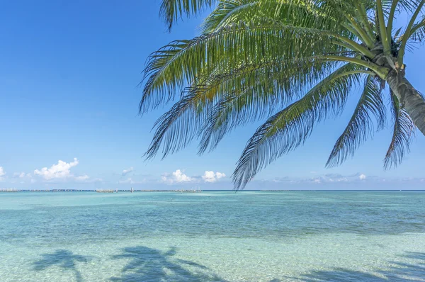 Spiaggia — Foto Stock