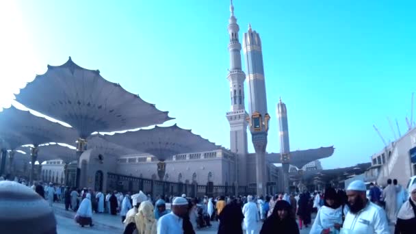 Mesquita nabawi — Vídeo de Stock