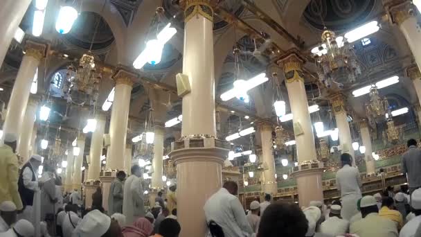 Nabawi Meczet — Wideo stockowe