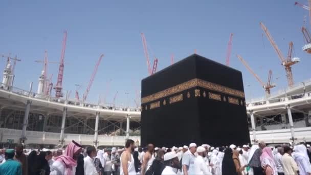 Poutníci infront Kaaba dveře (Multazam) — Stock video