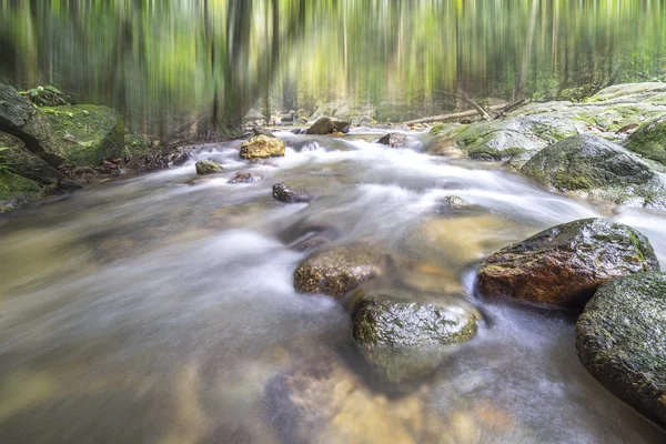 Wasserlauf im Tropenwald — Stockfoto