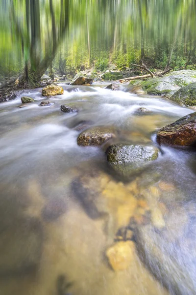 Arroyo de agua en bosque tropical — Foto de Stock