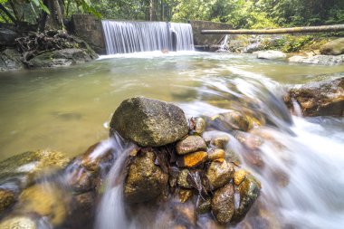 su akışı tropikal orman