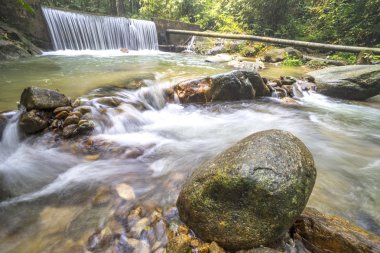 su akışı tropikal orman
