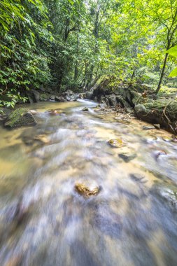 su akışı yağmur ormanları