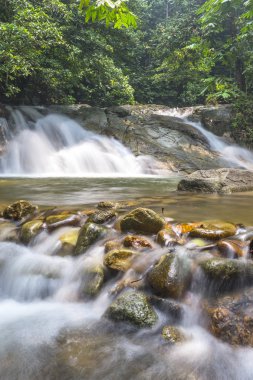 su akışı yağmur ormanları