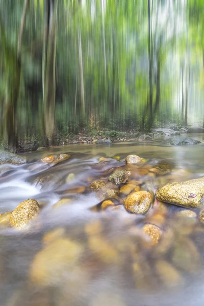 Fluxo de água na floresta tropical — Fotografia de Stock