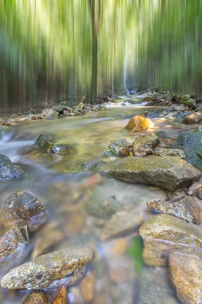 Wasserlauf im tropischen Wald — Stockfoto