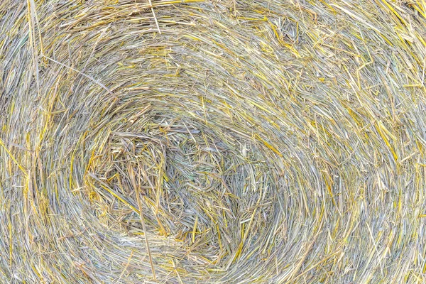 Roll of paddy straw — Stock Photo, Image