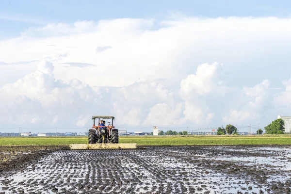 Tractor at paddy field — Stock Photo, Image