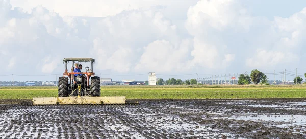 Tractor at paddy field — Stock Photo, Image