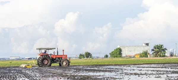 Tractor at paddy field — Stock Photo, Image