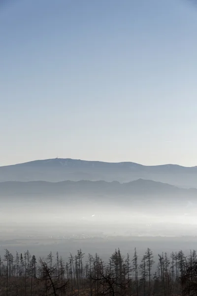 怀特山脉很远的地方 免版税图库照片